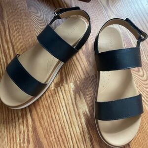 Nisolo Go-To Flatform Sandal 2.0 Black/Almond 9.5